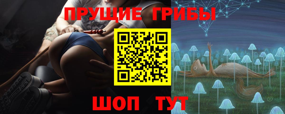 Сальск  купить закладку  Вход с VPN  Псилоцибиновые грибы GOLDEN TEACHER  Галлюциногенные грибы мухоморы 