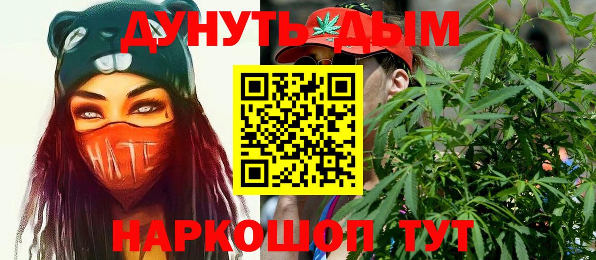 Шишки марихуана план  Вход с VPN  Каннабис марихуана  Бошки марихуана VHQ  Сальск  Марихуана ГИДРОПОН 